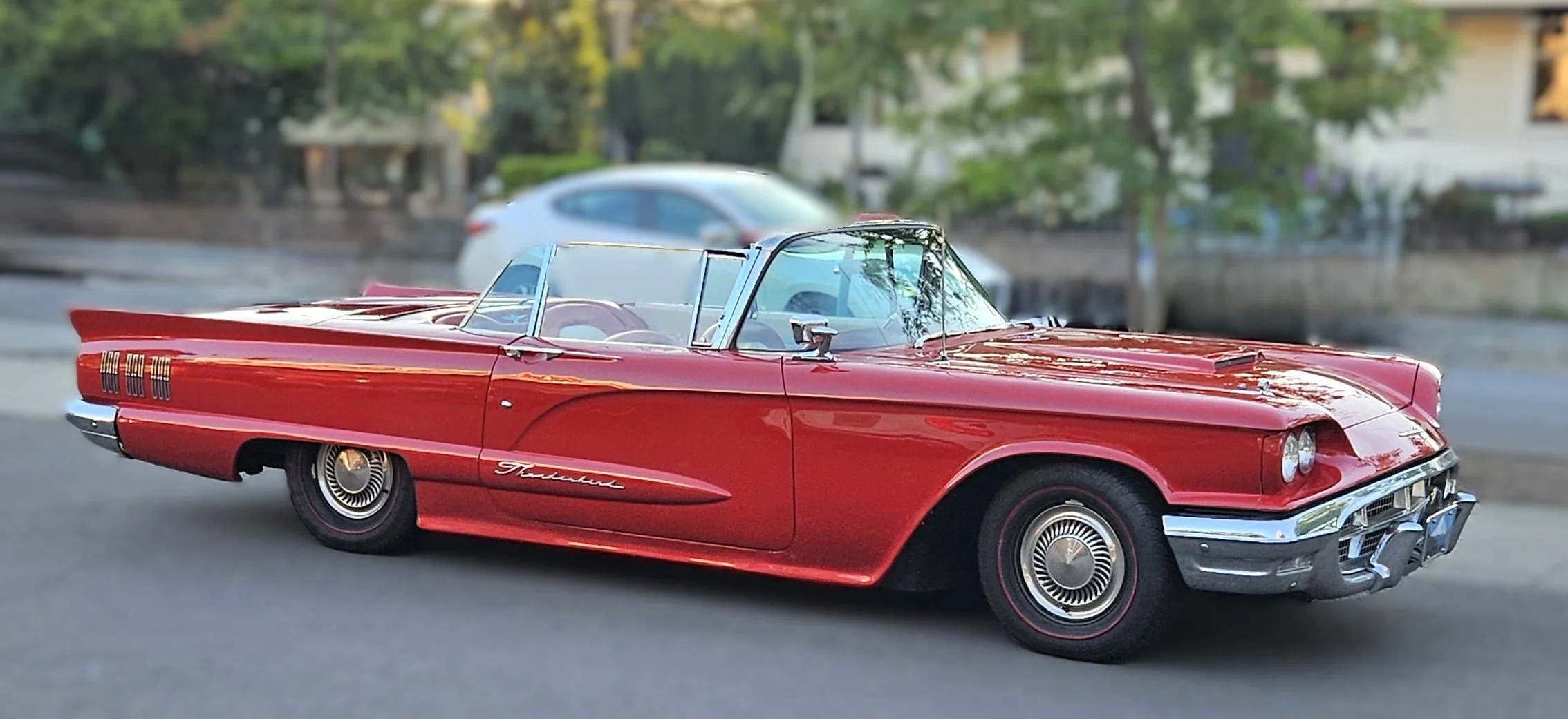 TBIRD 16 Trish Jordan.jpg