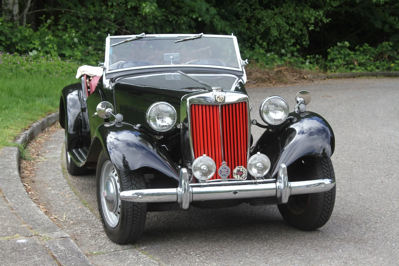 176(13).JPG