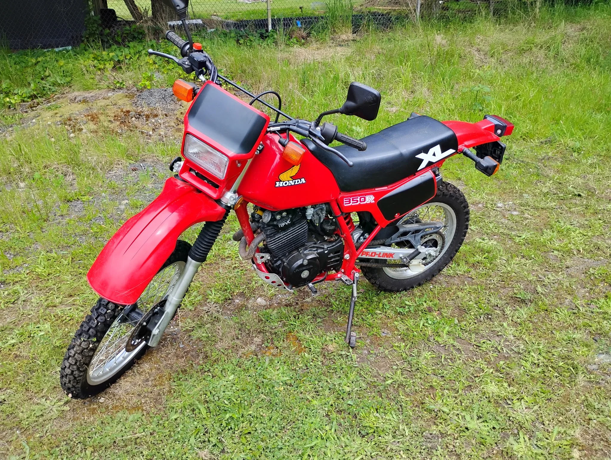 Lot #243 - 1984 Honda XL350 R  **NO RESERVE**