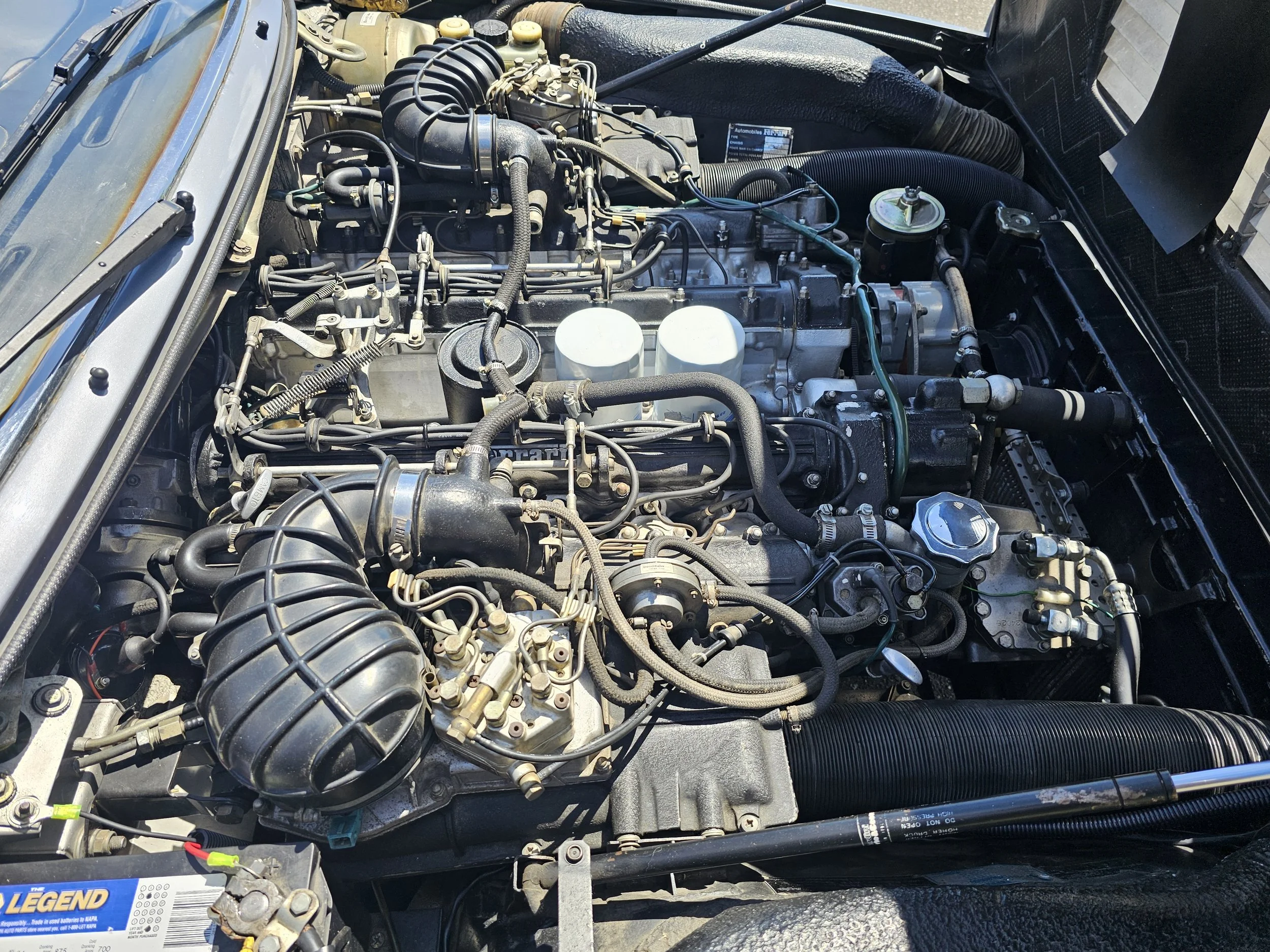 20260729_124831.jpg