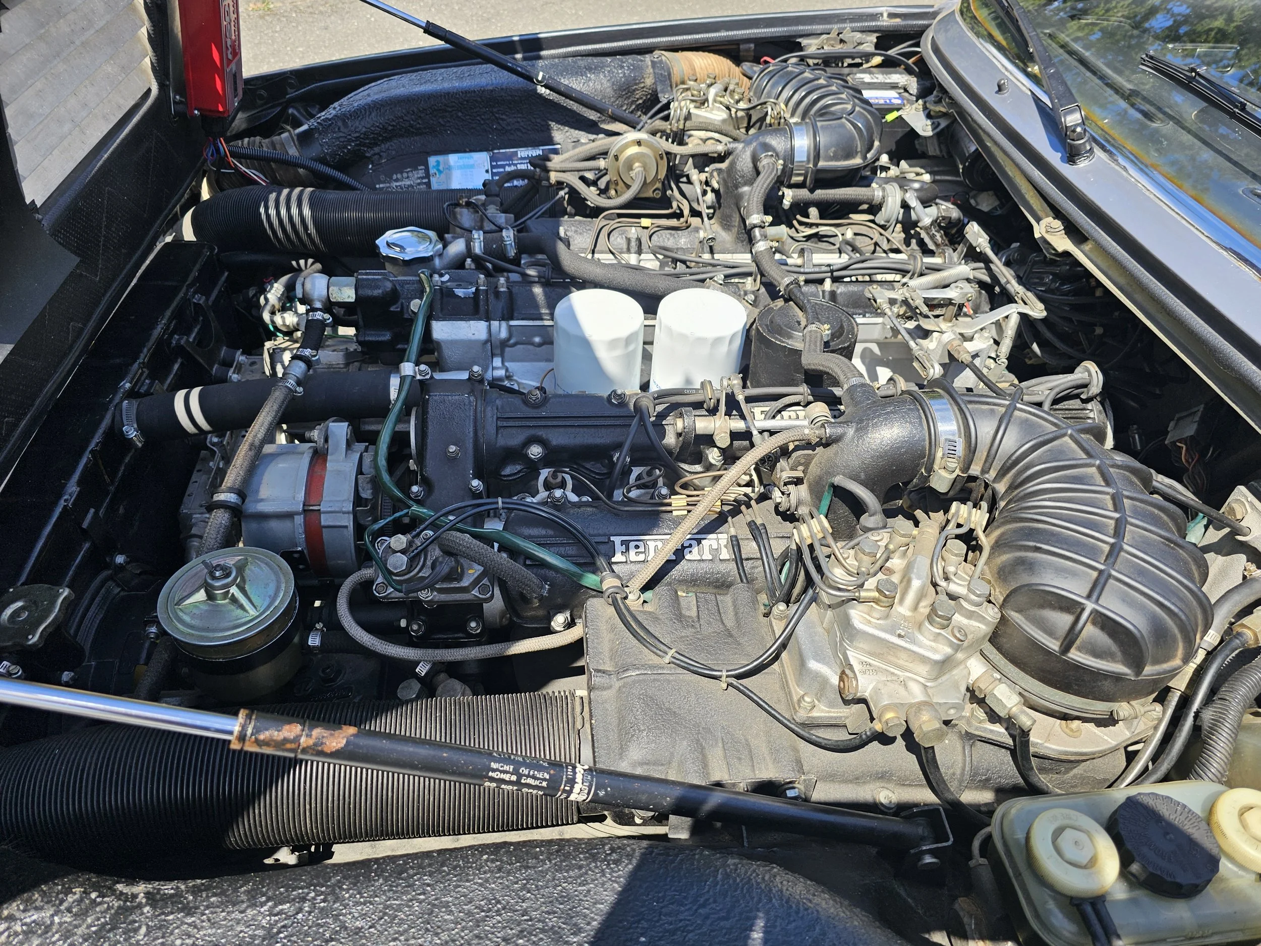 20260729_124843.jpg