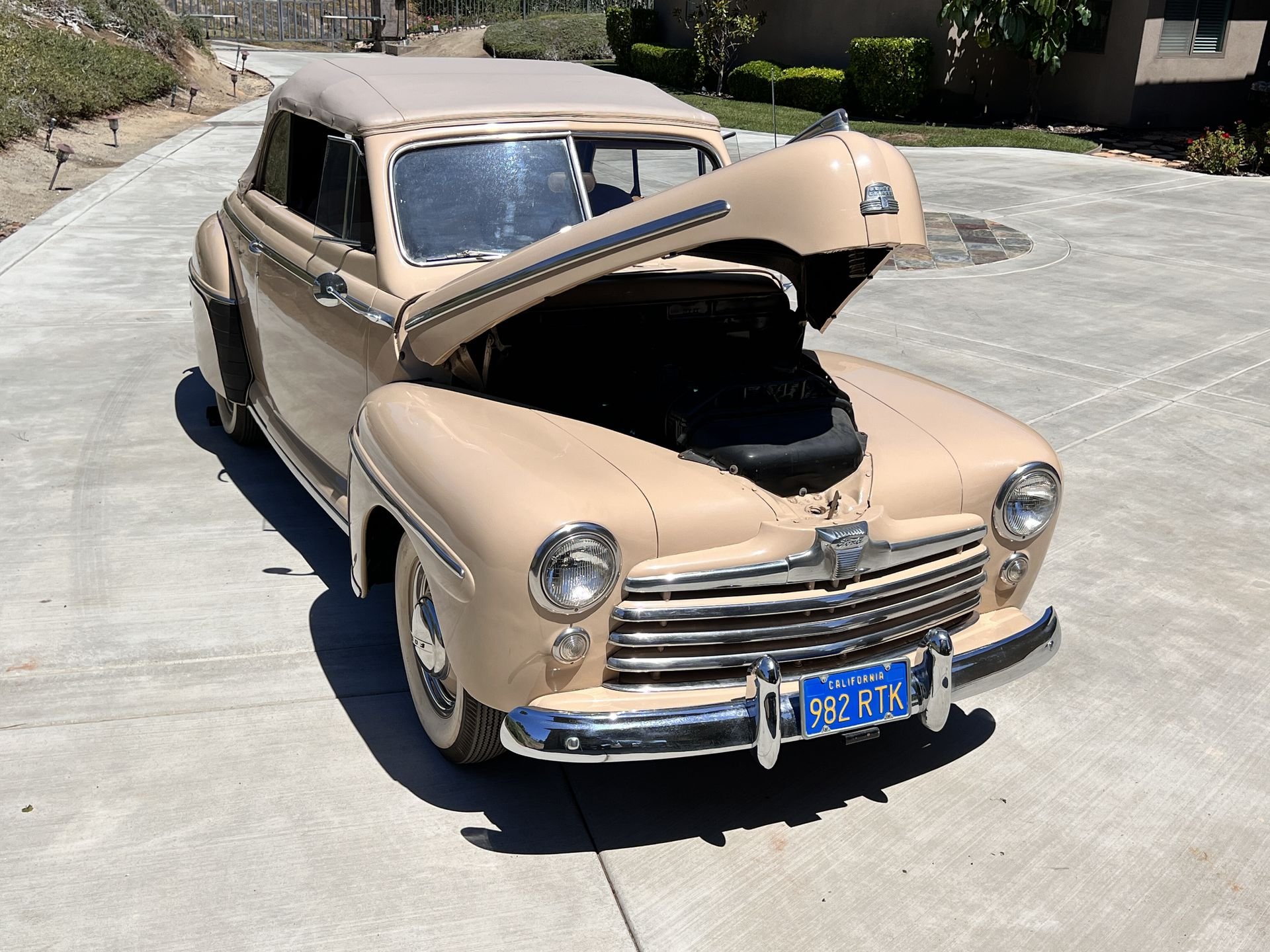 Elevated-Passenger-Front-View-with-Hood-Open.jpg