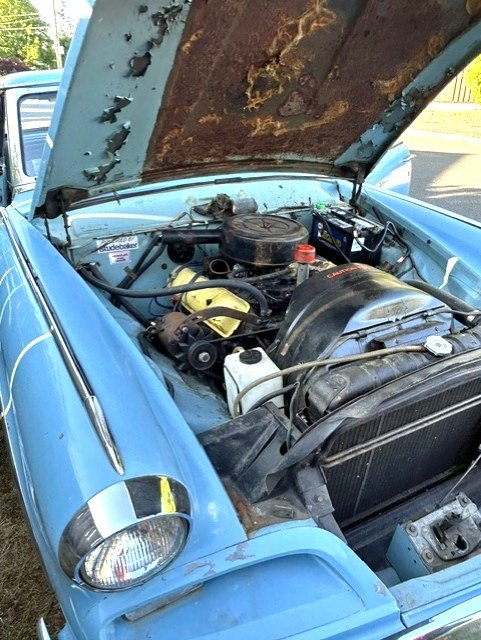 hawk engine Dawn Carnino.jpg