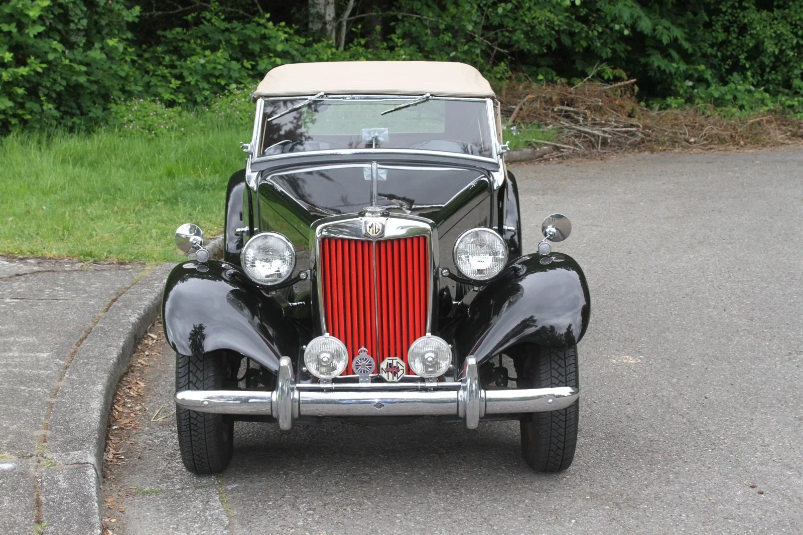 176(37).JPG