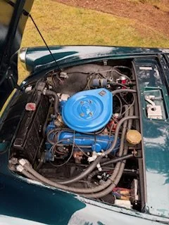 image0 (7).jpeg