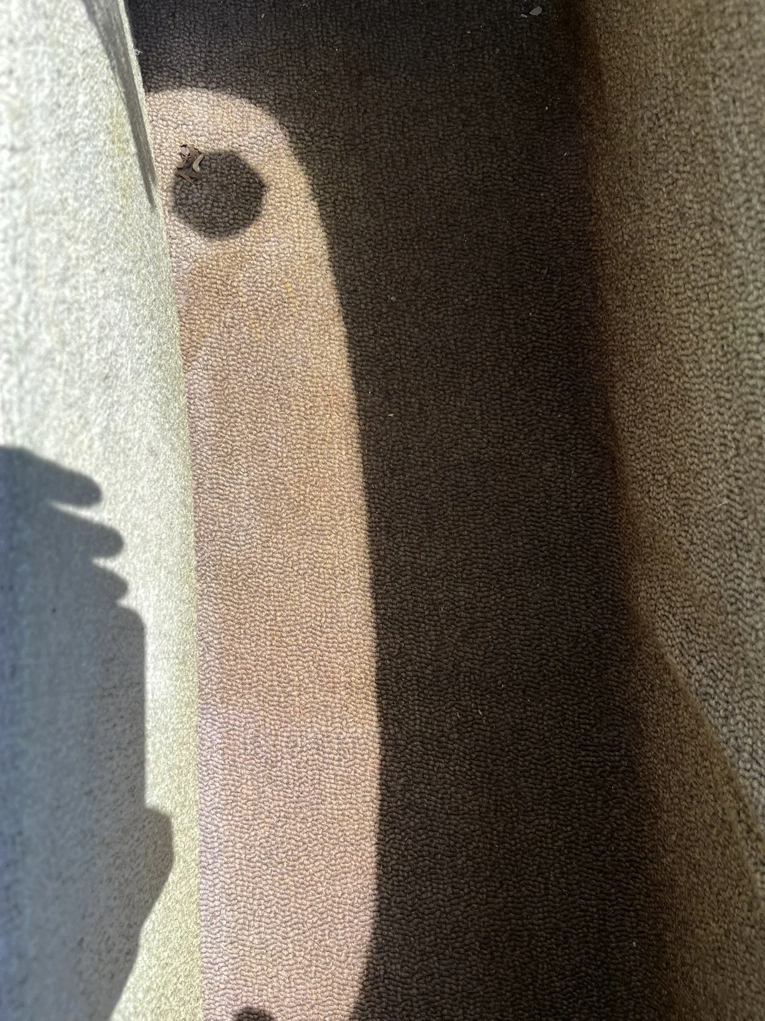 IMG_2062.JPEG