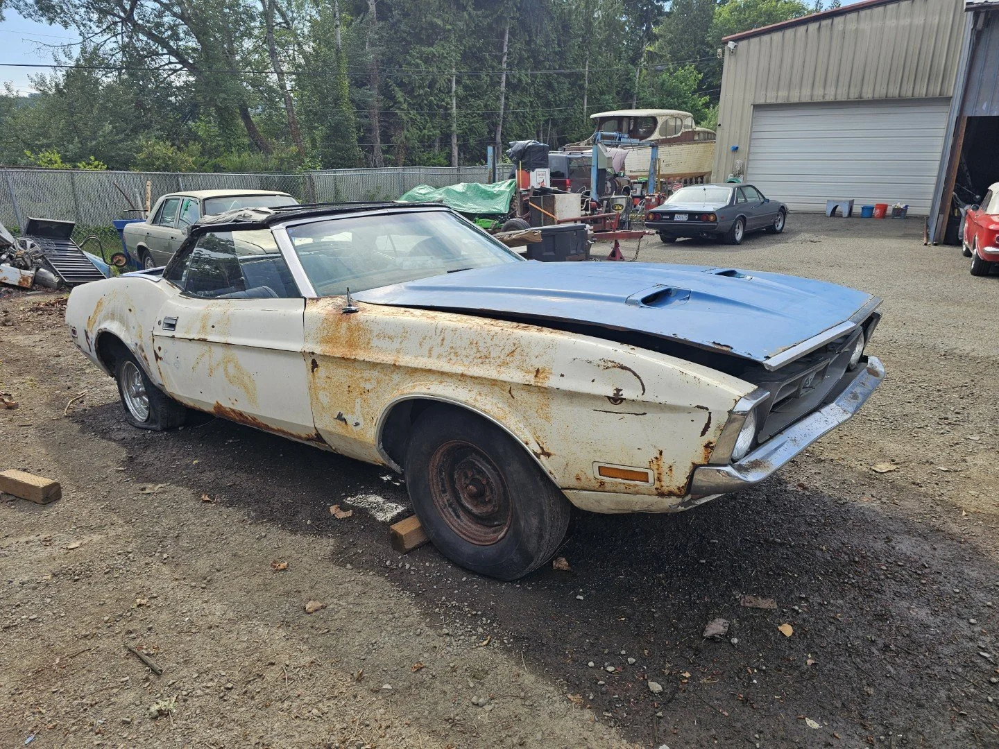 Lot #293 - 1972 Ford Mustang Convertible  **NO RESERVE**