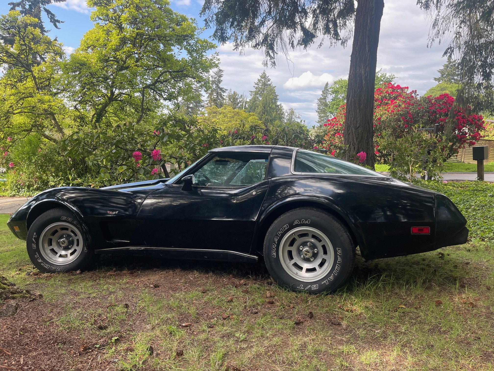 #156 1978 Chevrolet Corvette