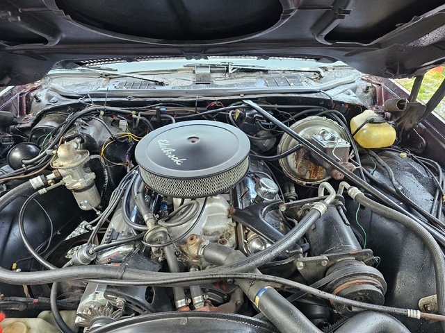 40105.JPG