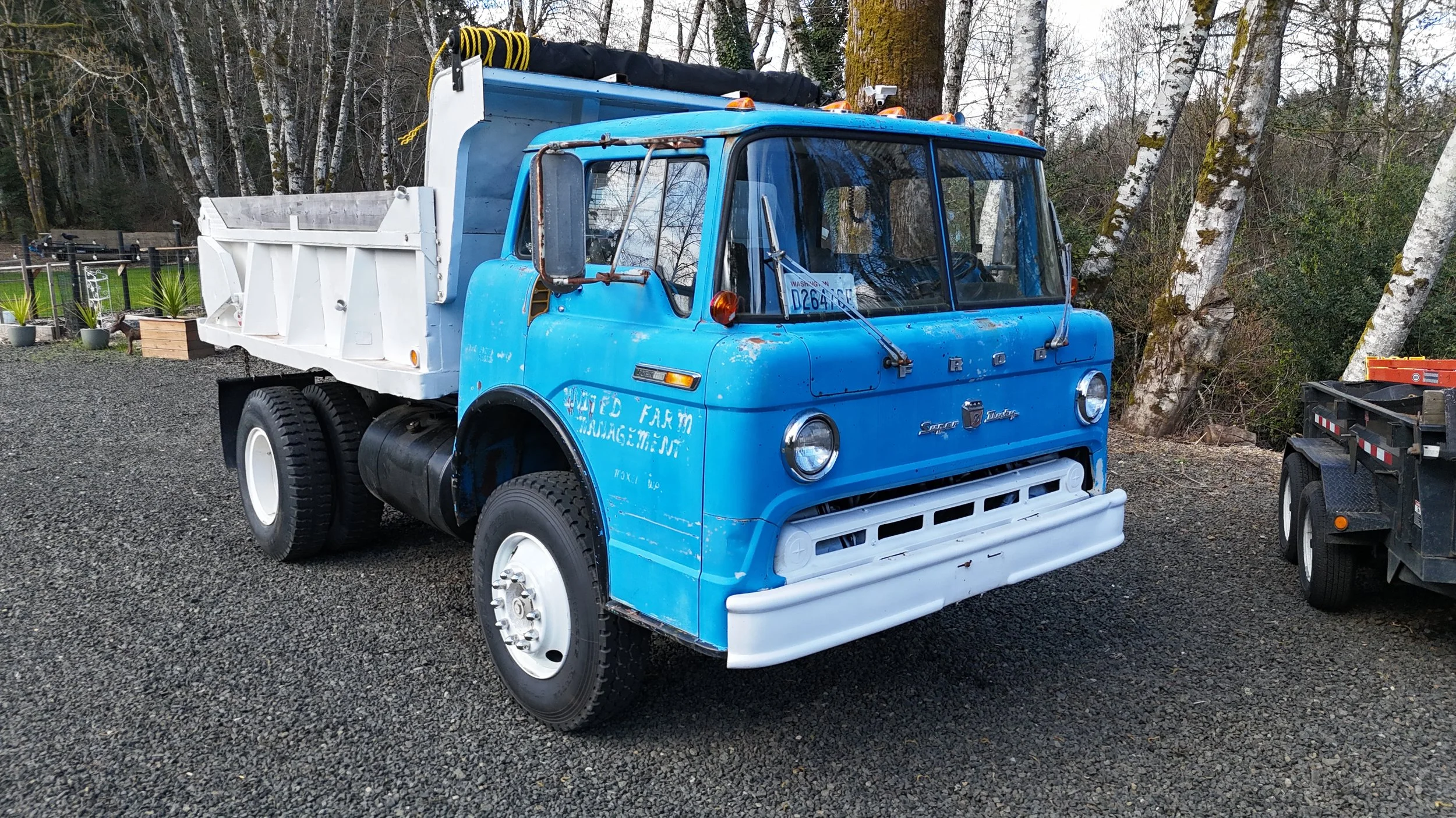 Lot #249 - 1969 Ford C850 Dump Truck