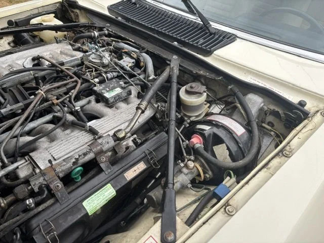 image1 (1).jpeg