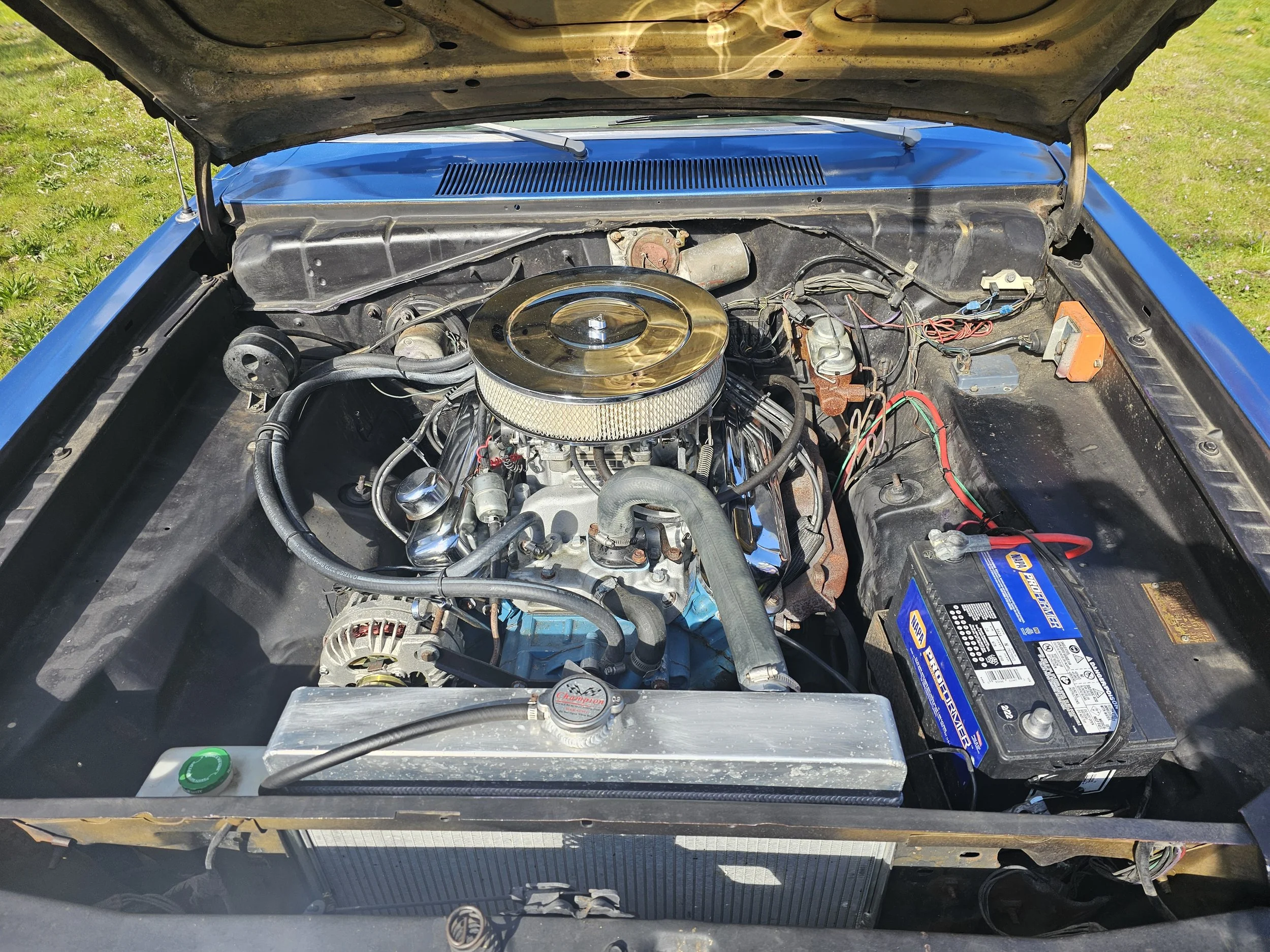 20260407_155405.jpg