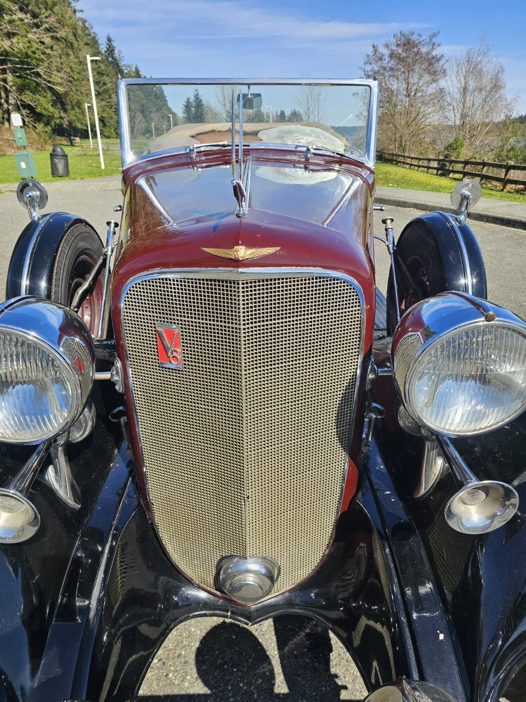 20260327_124727.jpg