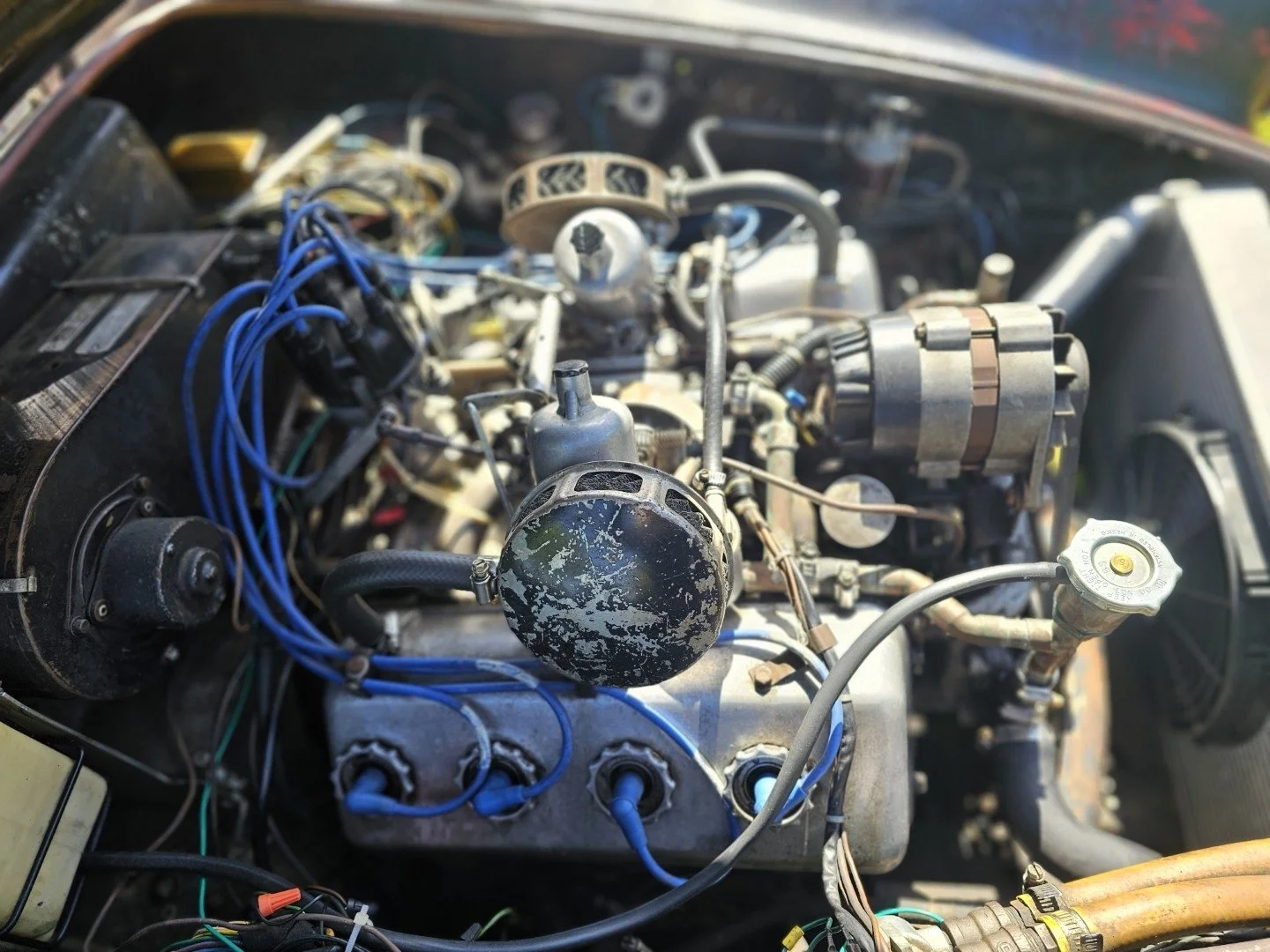 20260424_105445.jpeg
