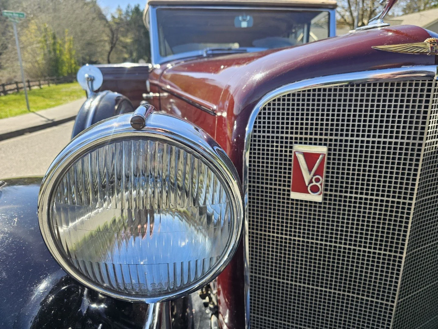 20260327_130626.jpg