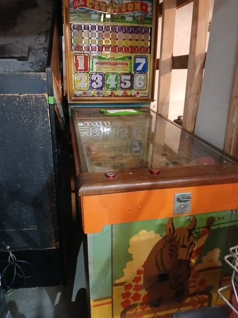 30436.JPG