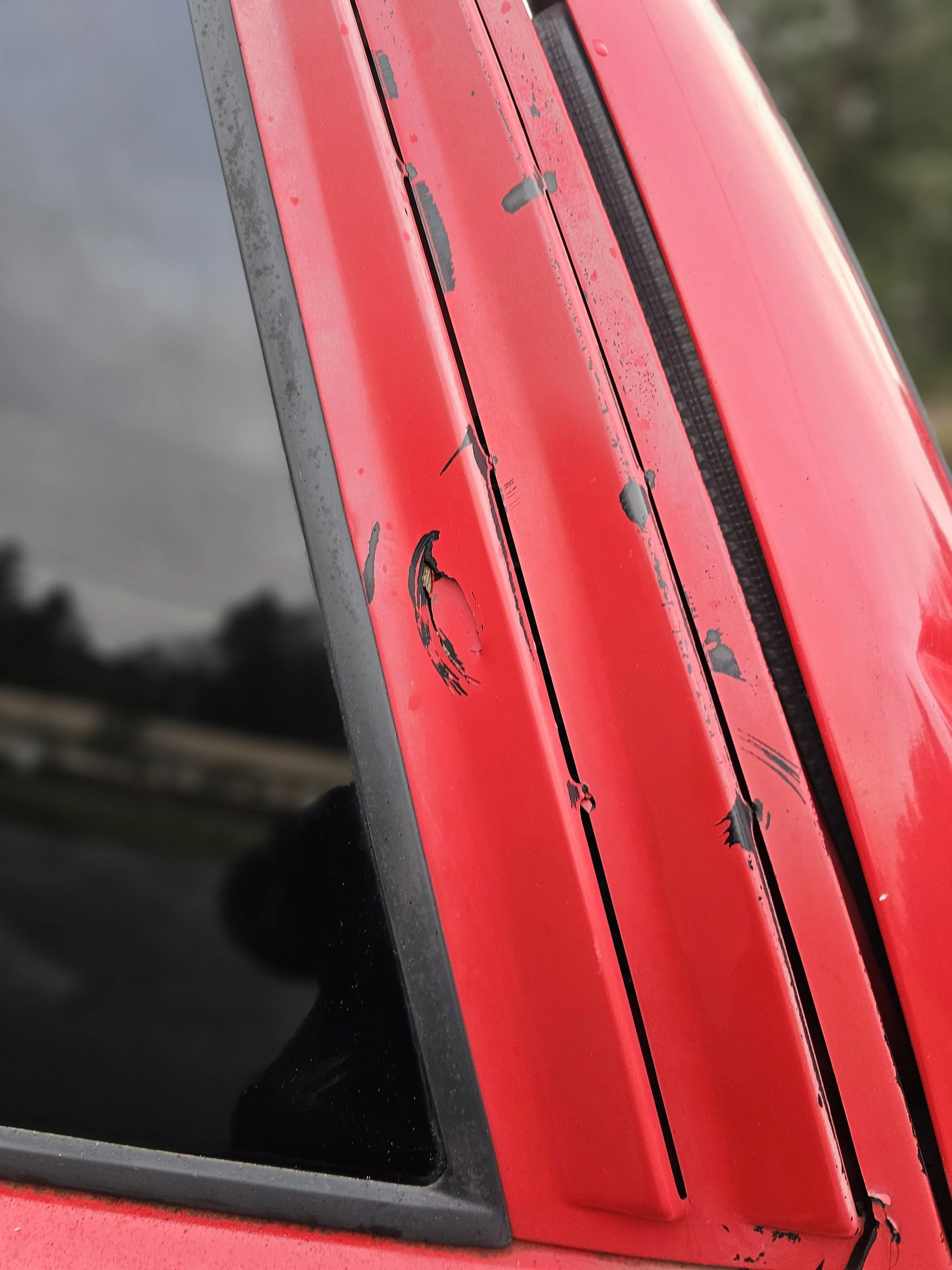 20260108_154908.jpg