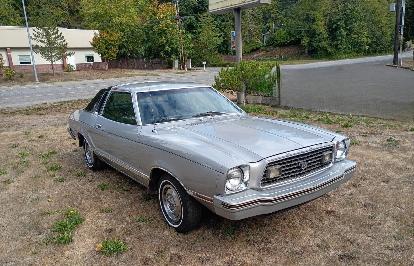 1978 (5).jpg