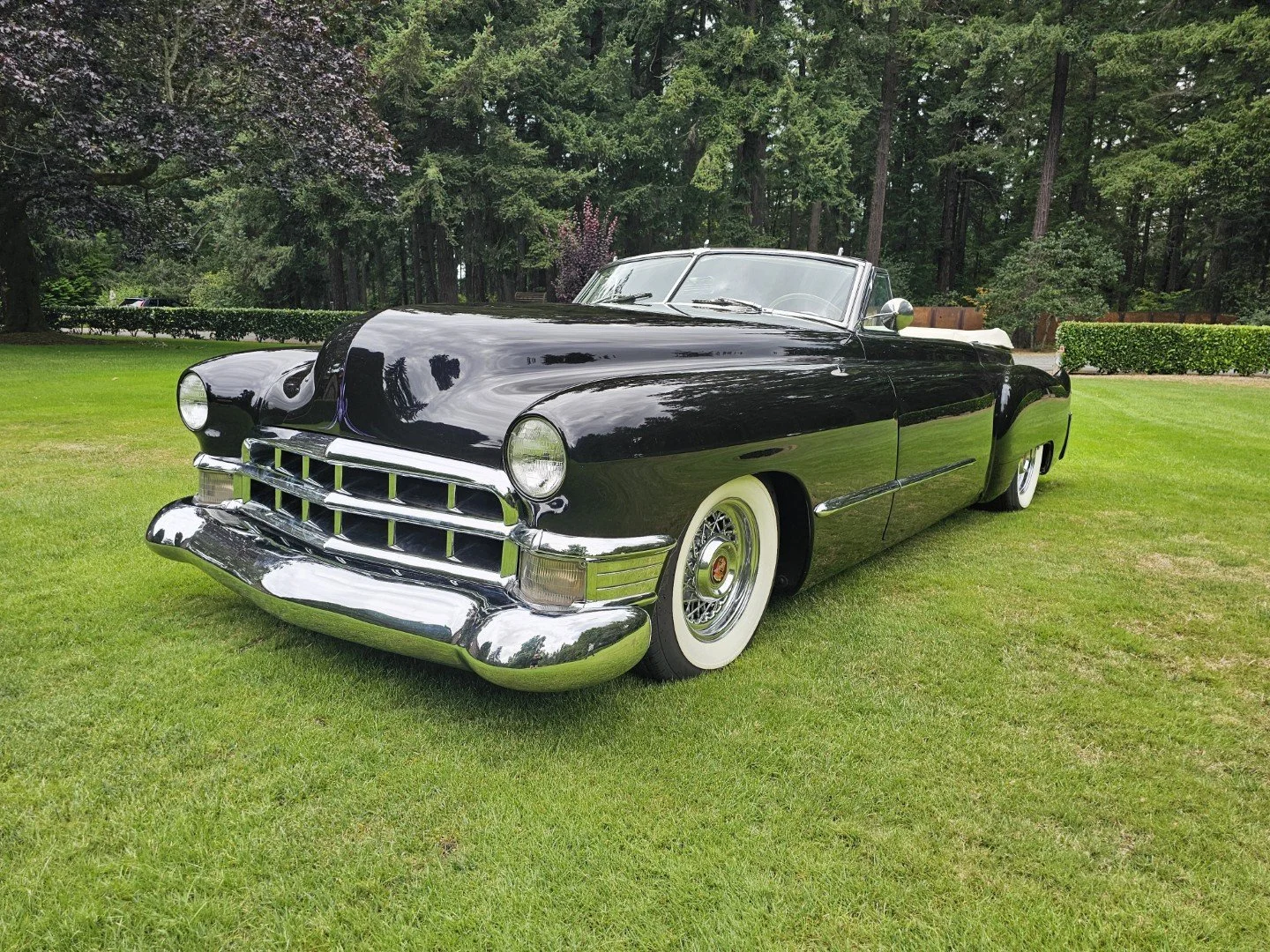 655(1).jpg