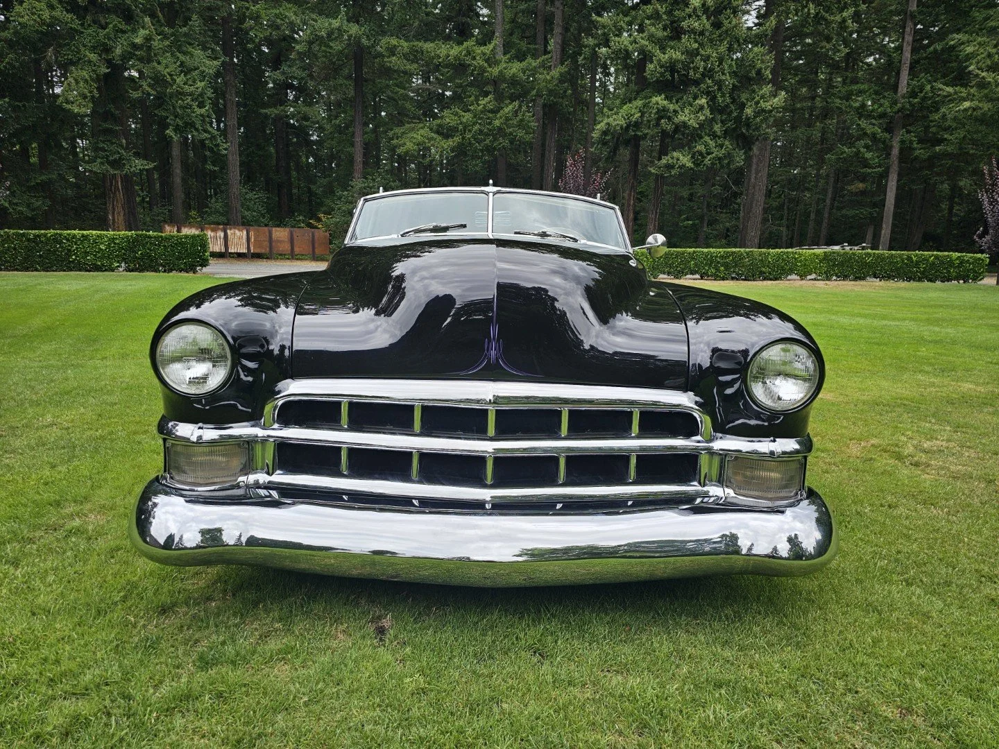 655(3).jpg