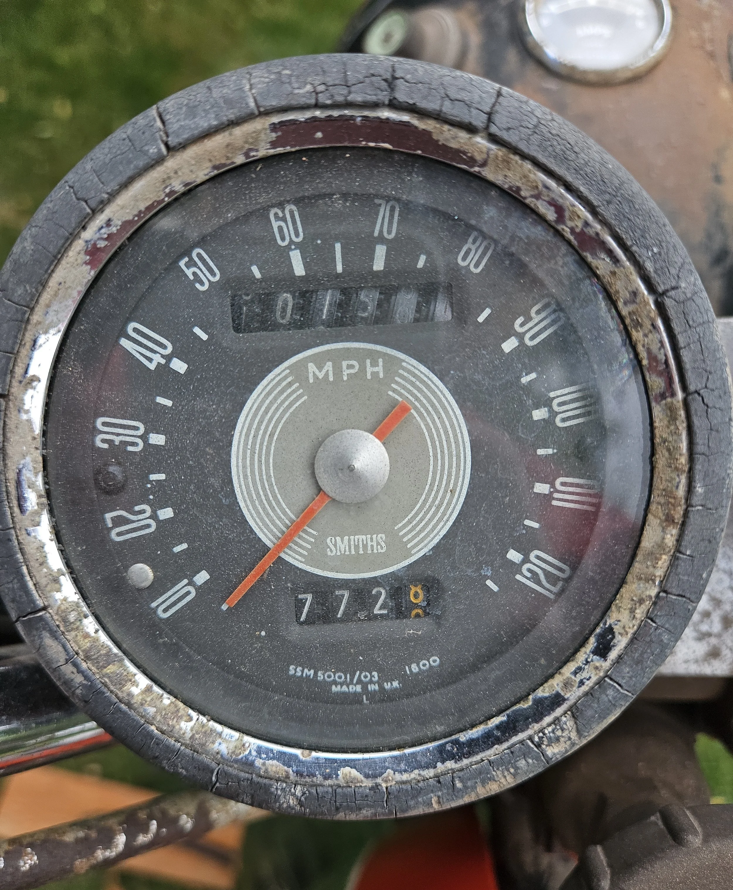 3180091506148359149.JPG
