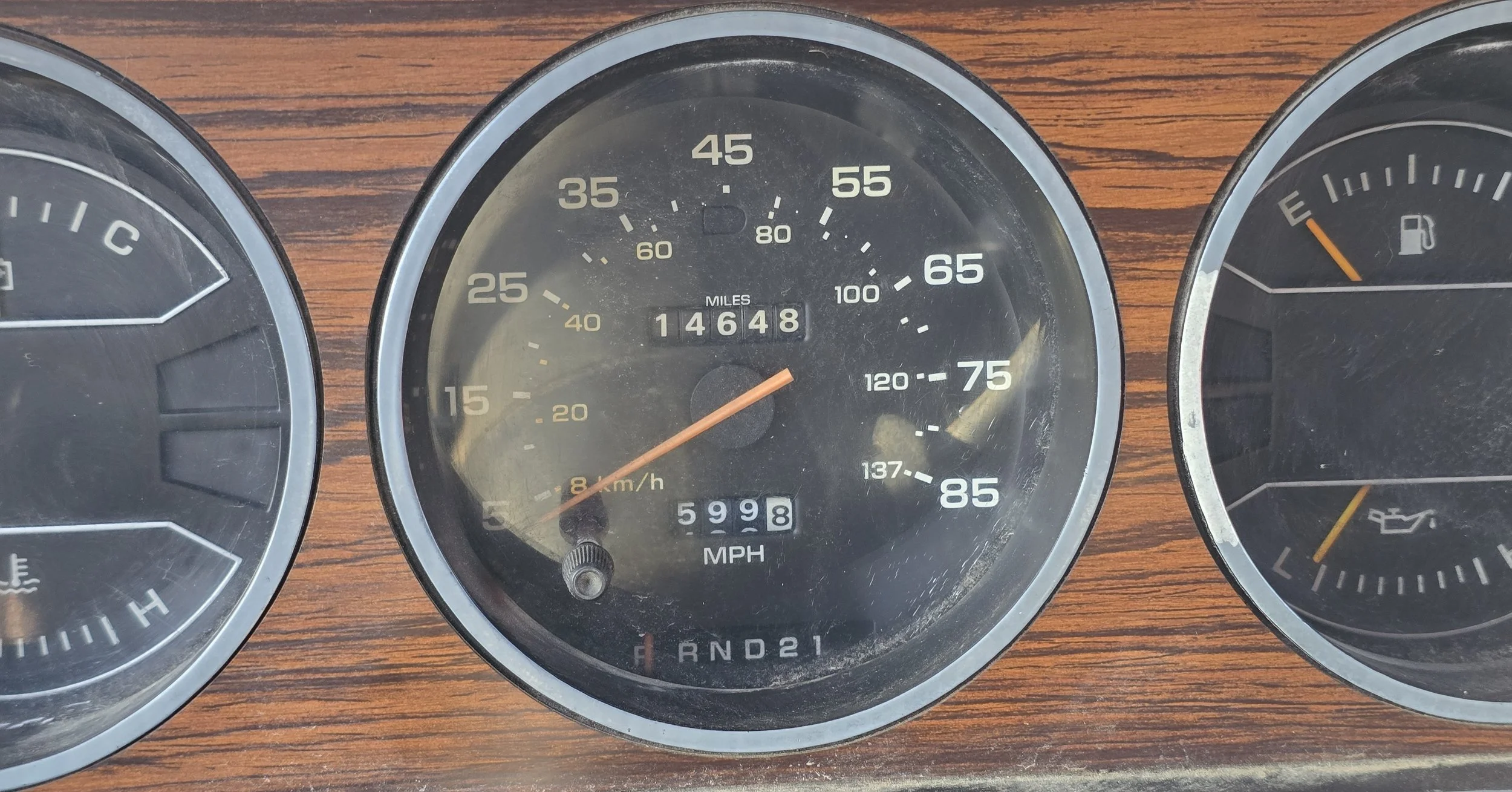 1000093984.jpg