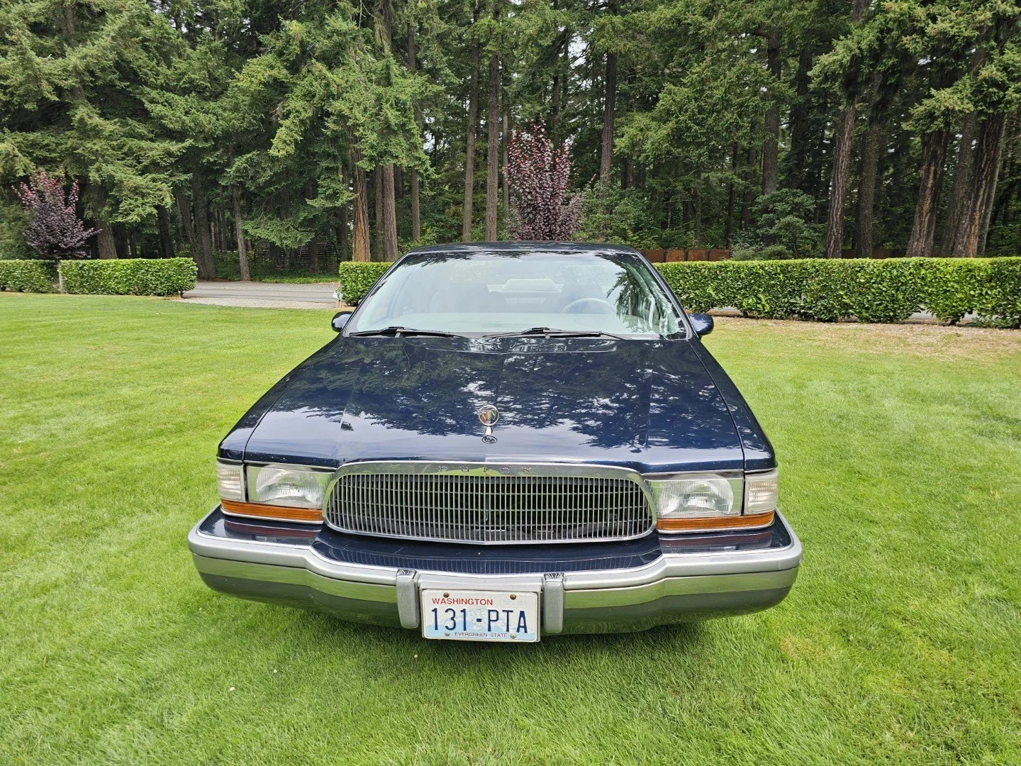 698(2).jpg
