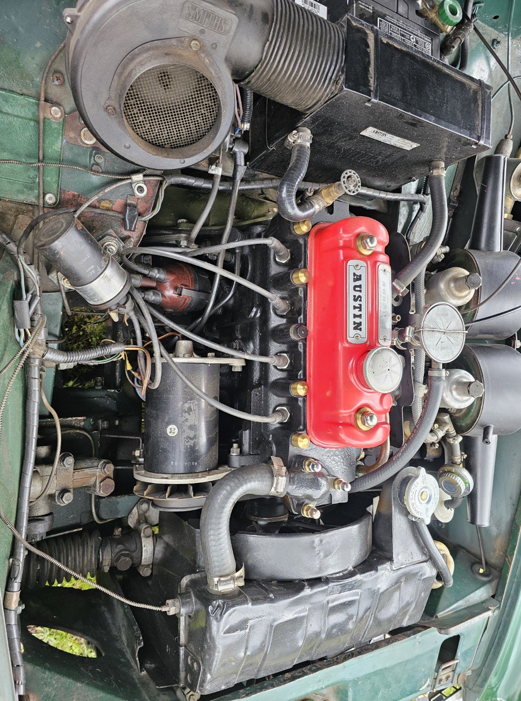 20260402_135321.jpg