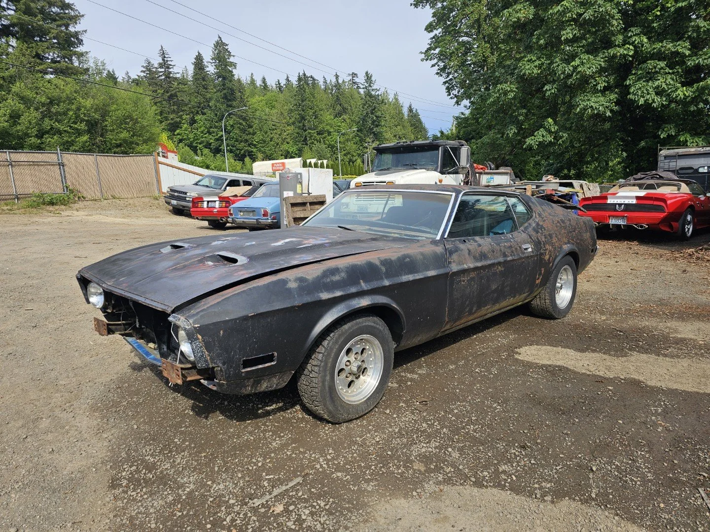 Lot #290 - 1973 Ford Mustang Fastback  **NO RESERVE**