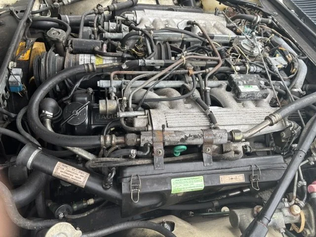 image2.jpeg