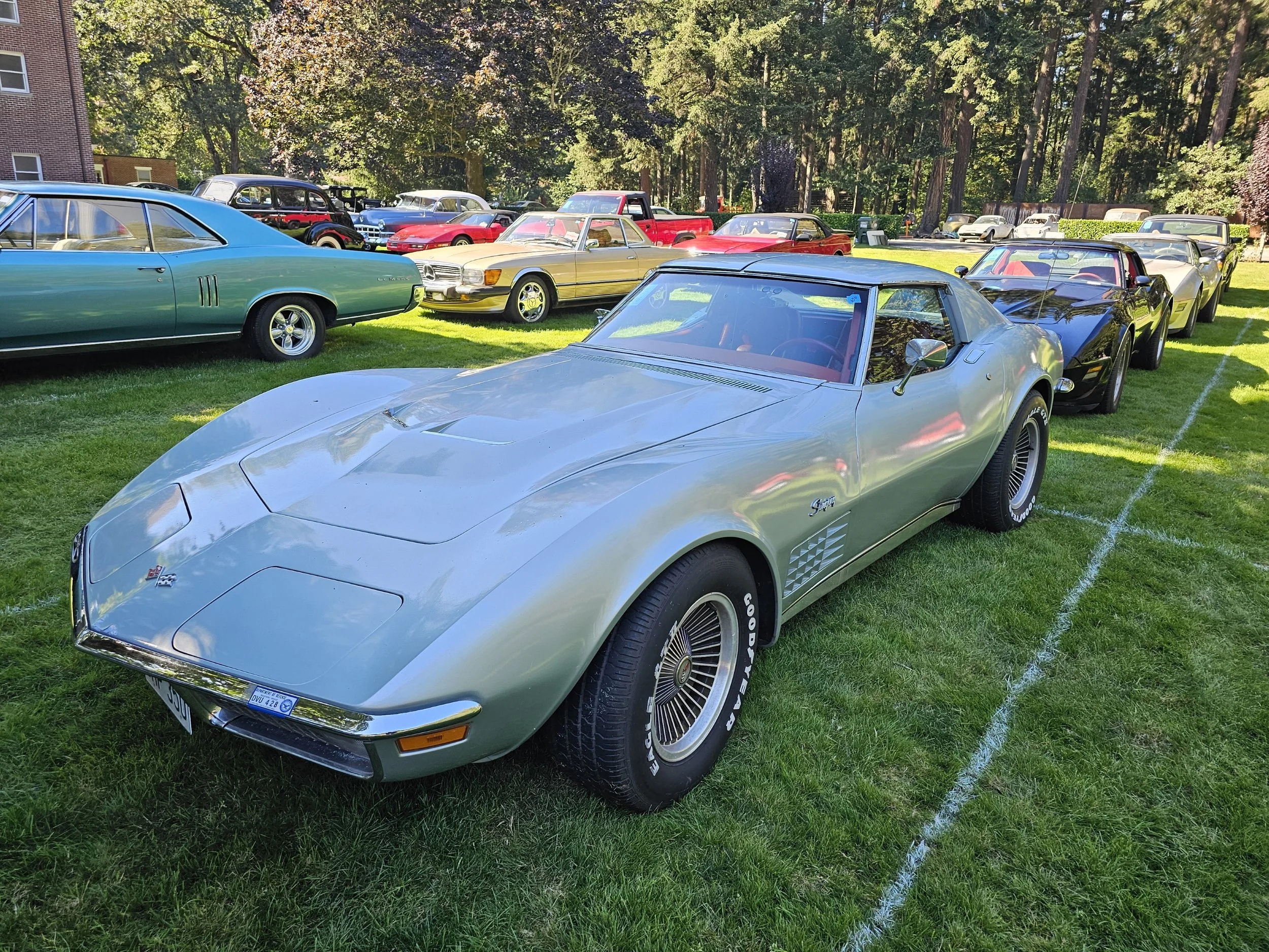 636(5).jpg?format=1000w