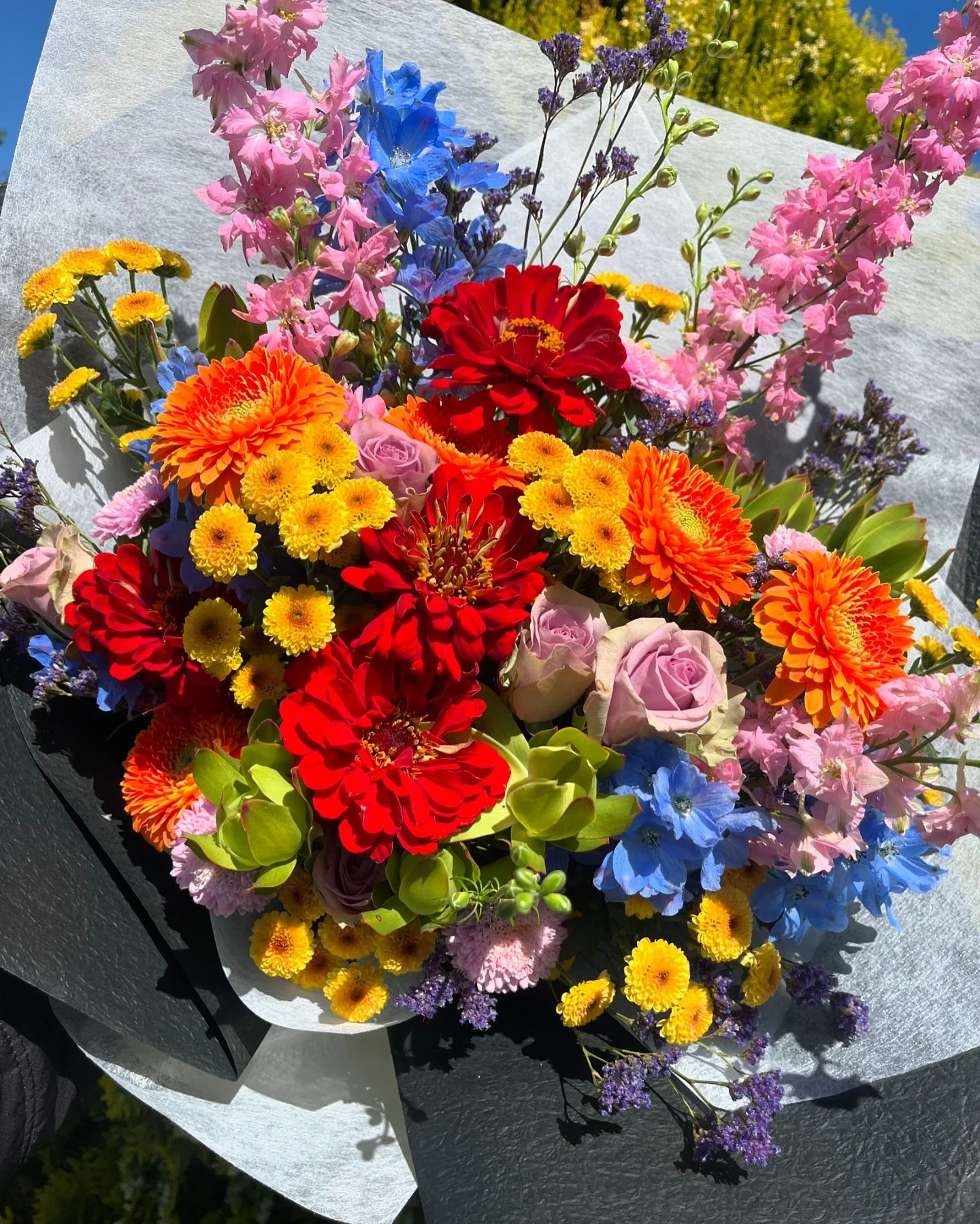 rainbow!! 🥳🌈