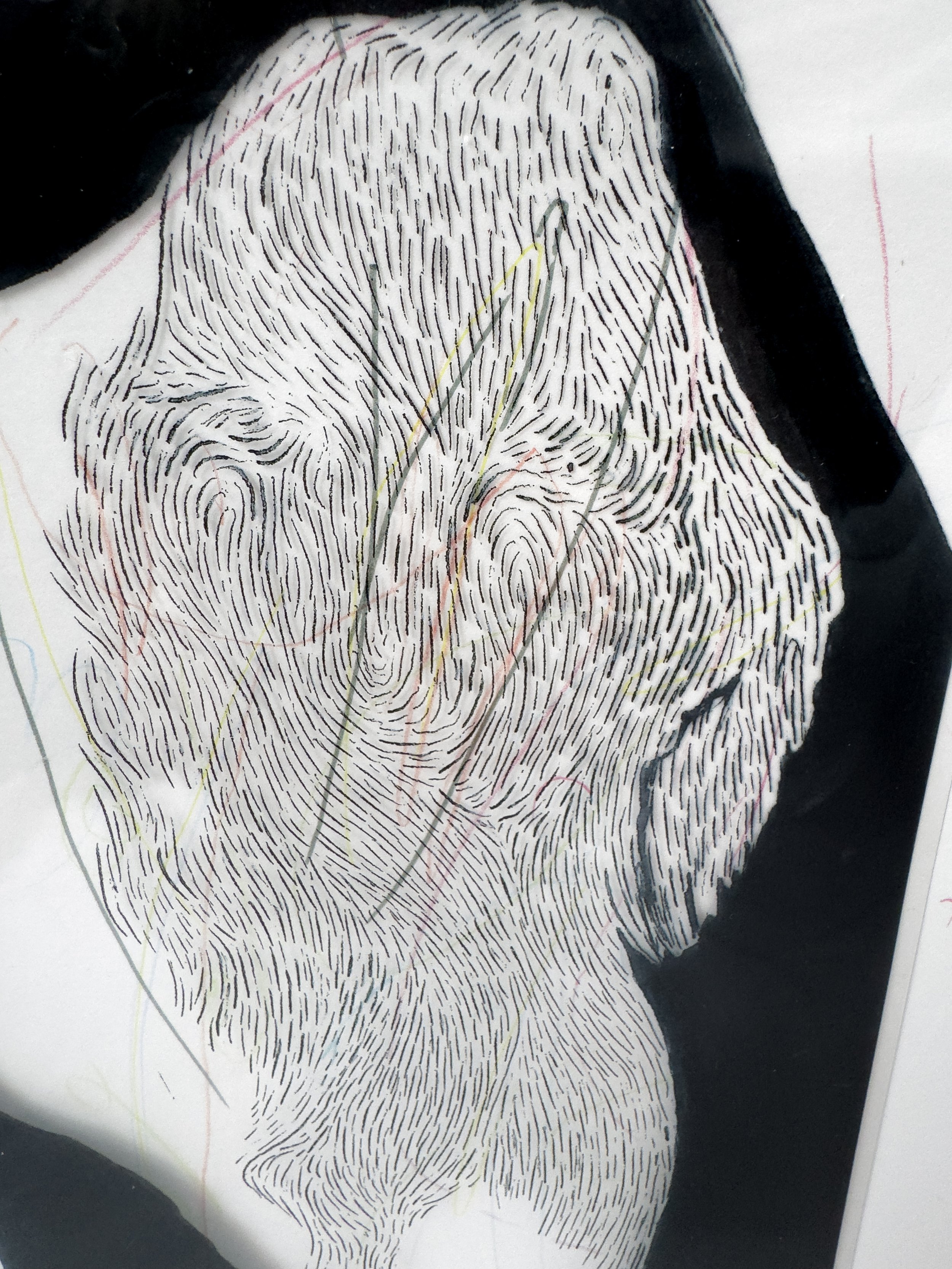 Iodine Veil5.jpg