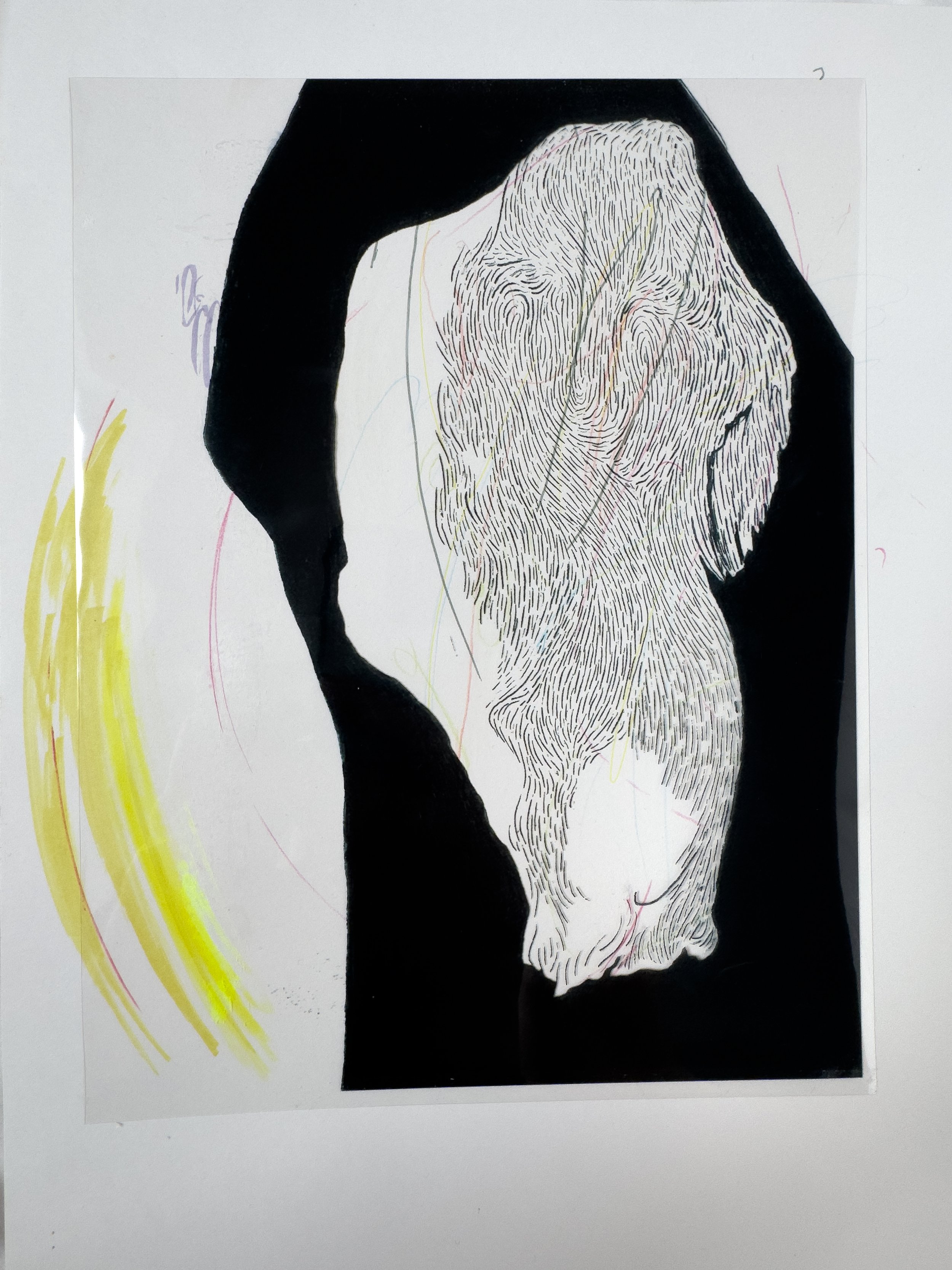 Iodine Veil