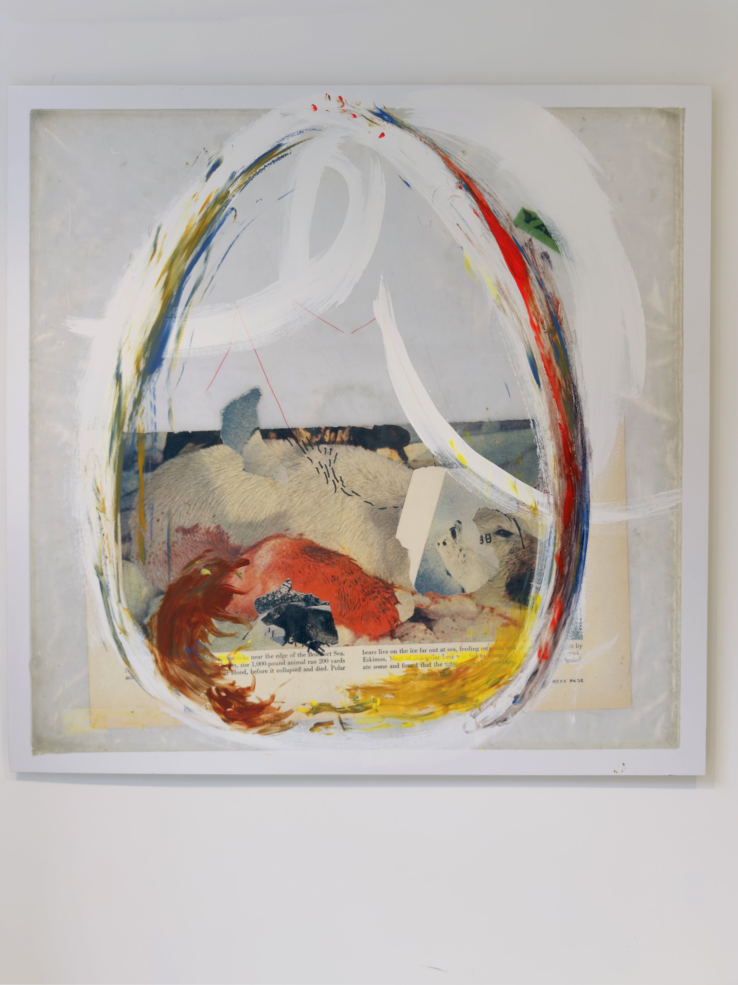 "Swanlights Newborn"