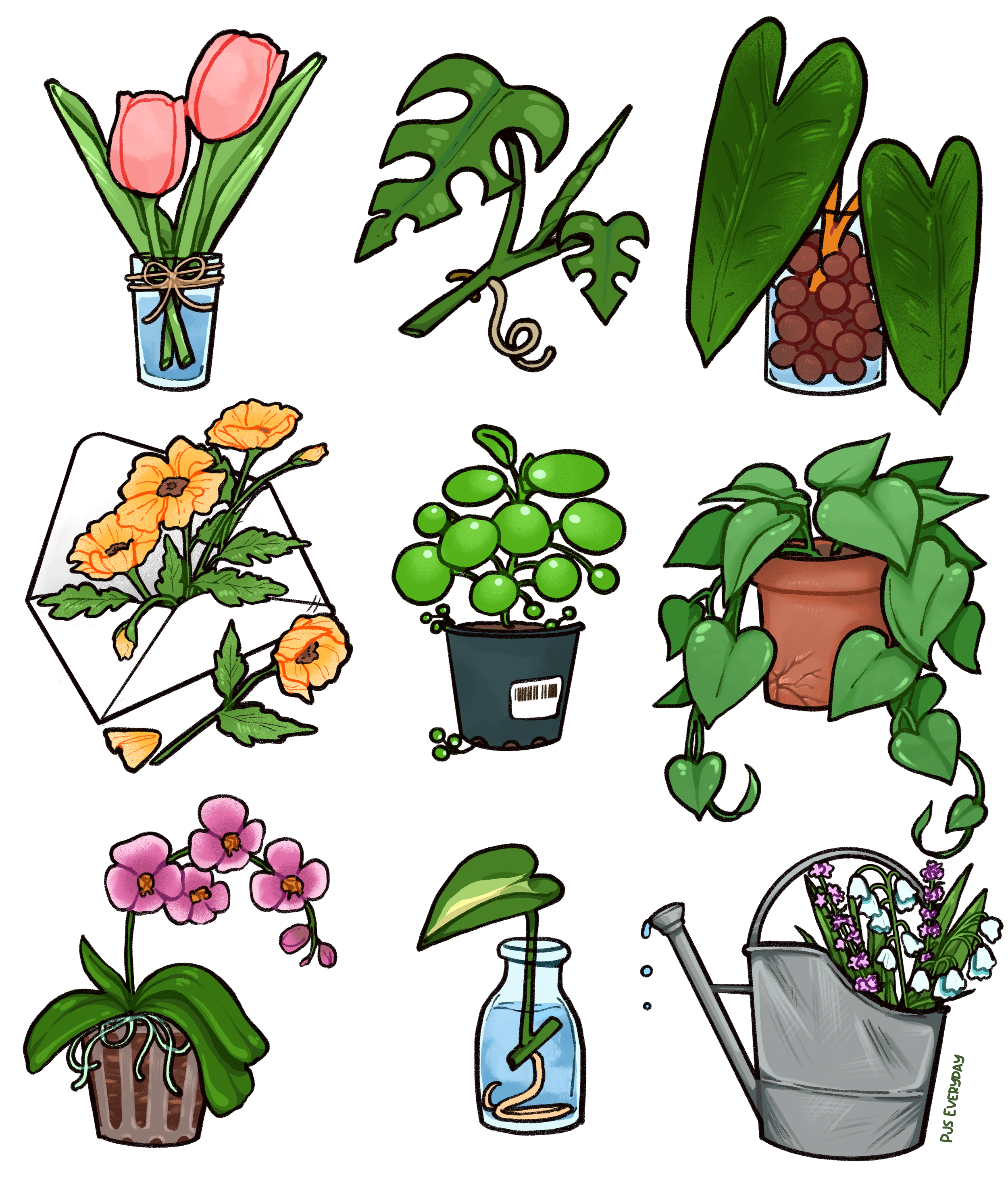 Plant 9 Grid.PNG
