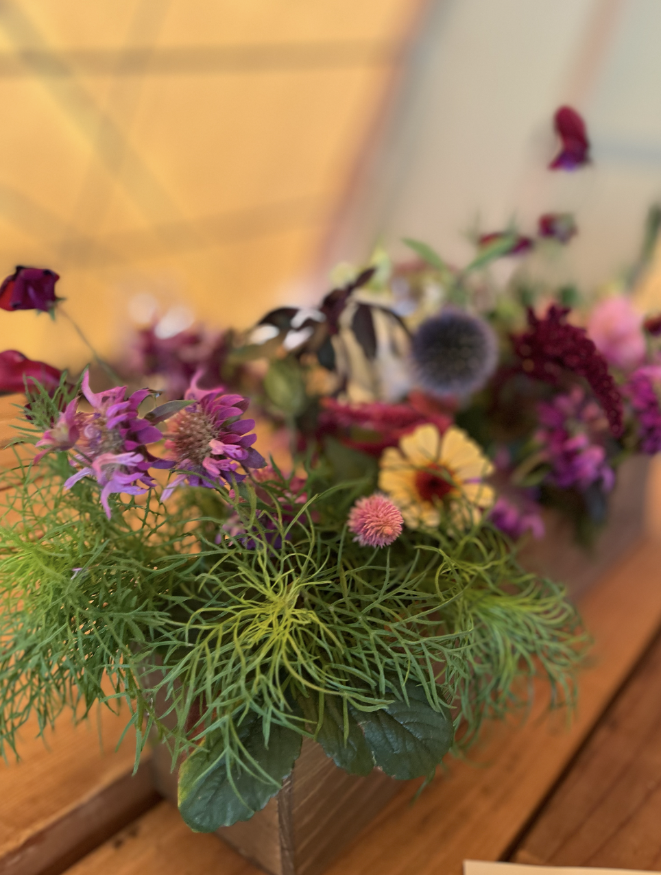 Screenshot 2026-03-03 at 11.46.39 AM.png