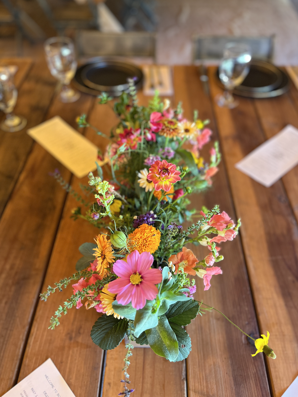 Screenshot 2026-03-03 at 11.46.27 AM.png