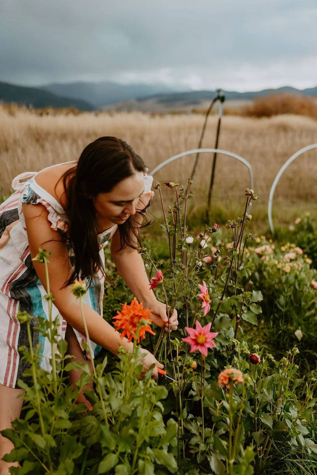 Flowers For Every Season