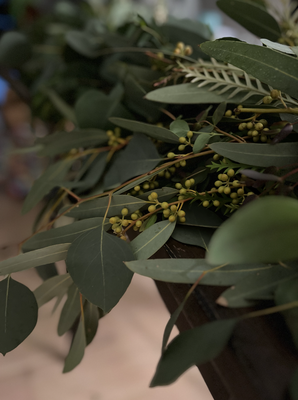 Screenshot 2026-03-03 at 11.47.25 AM.png