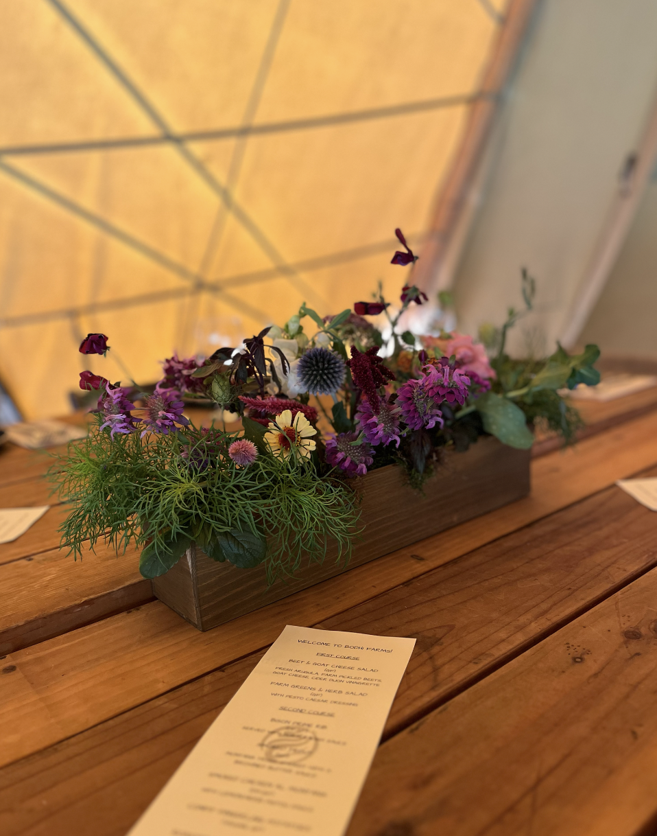 Screenshot 2026-03-03 at 11.46.46 AM.png