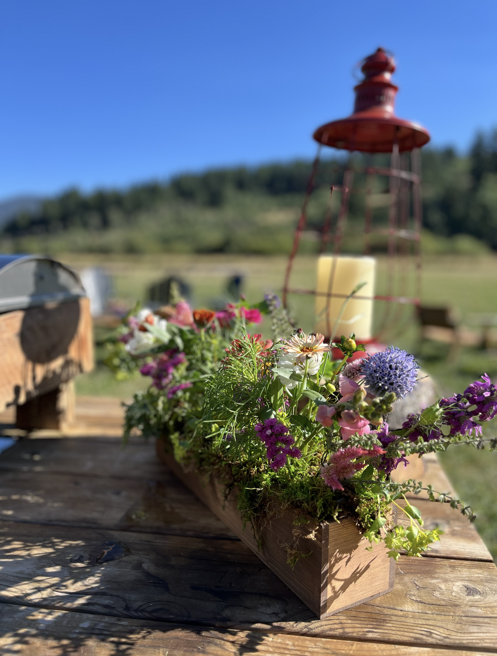 Screenshot 2026-03-03 at 11.46.20 AM.png