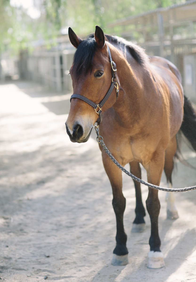 Screenshot 2025-11-04 at 6.08.24 PM.png