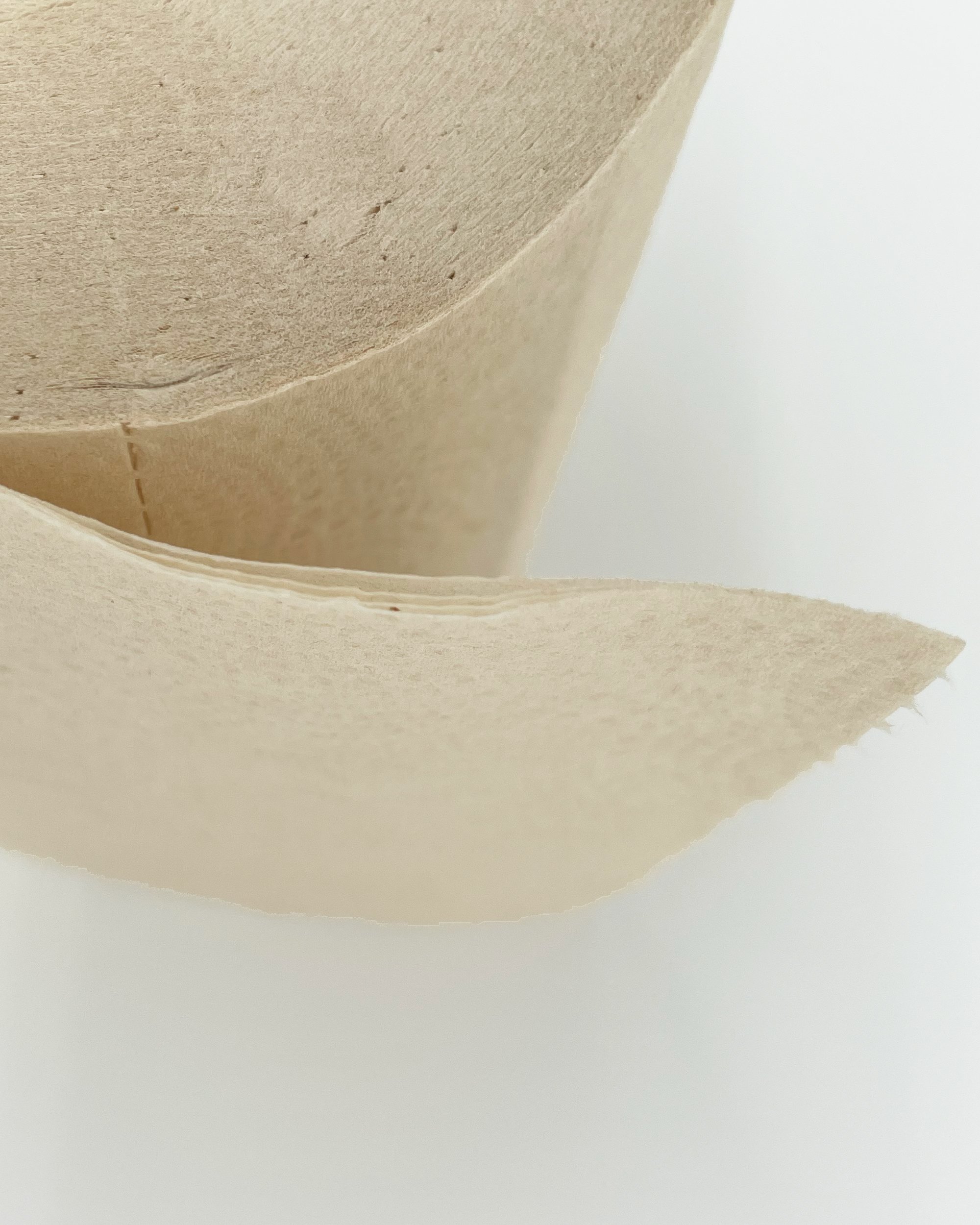 TP_PLYSHOT.jpg