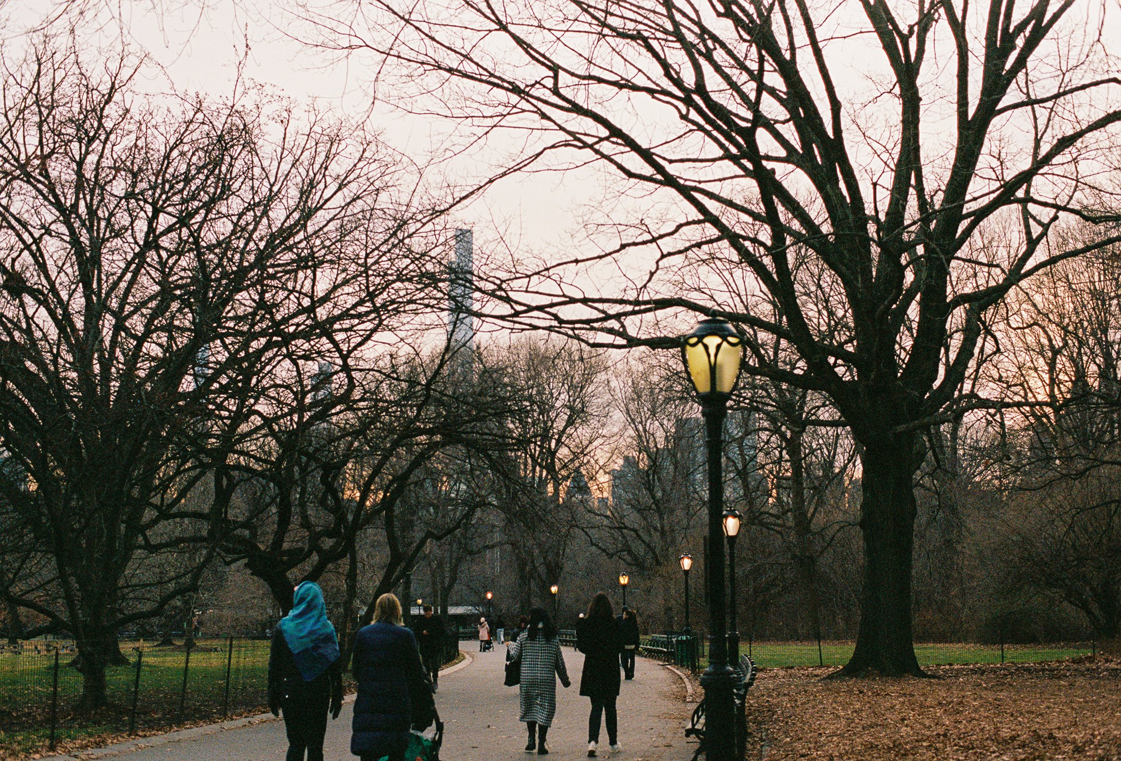 step678-027.jpg