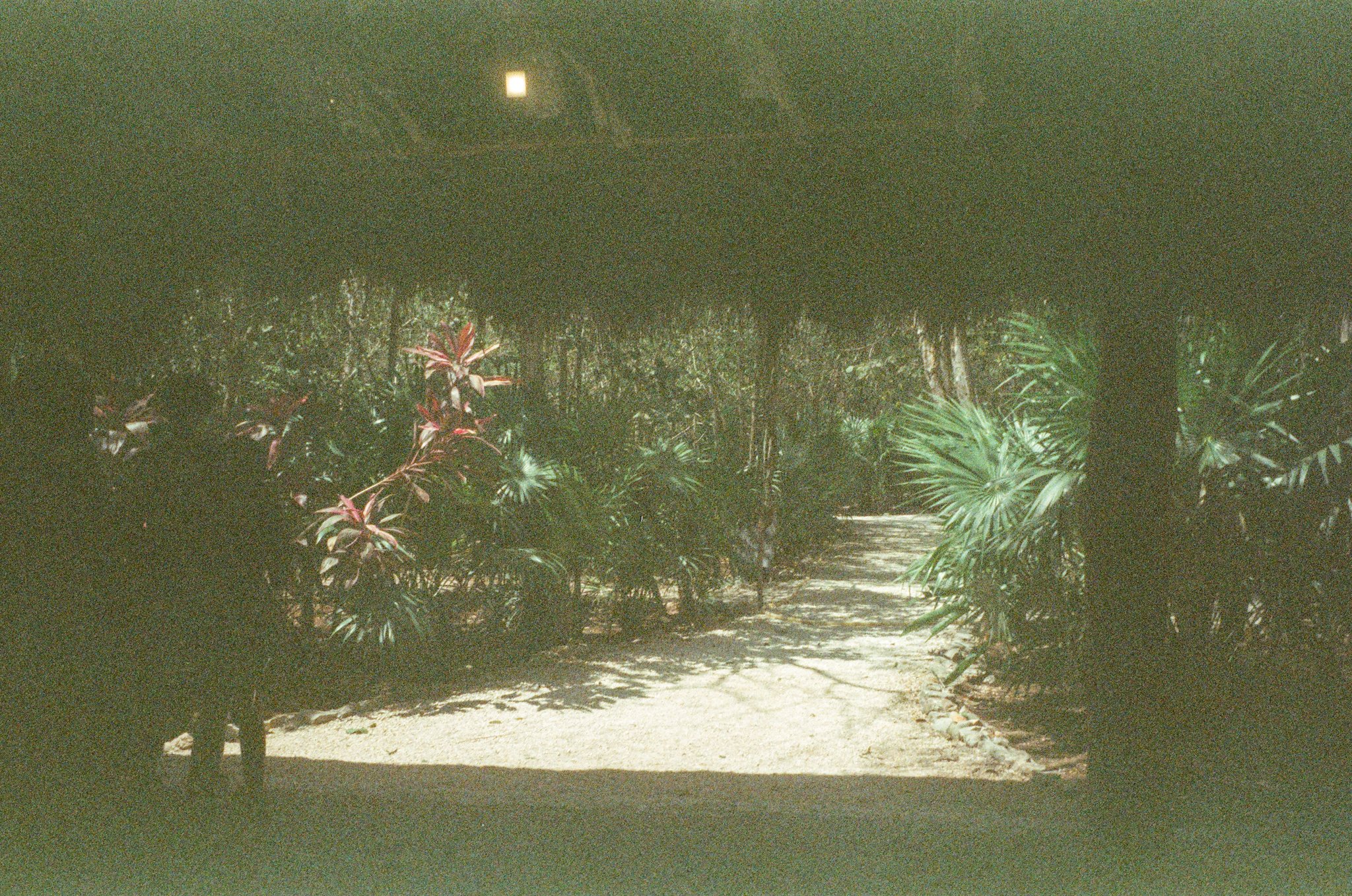 reduced-59.jpg