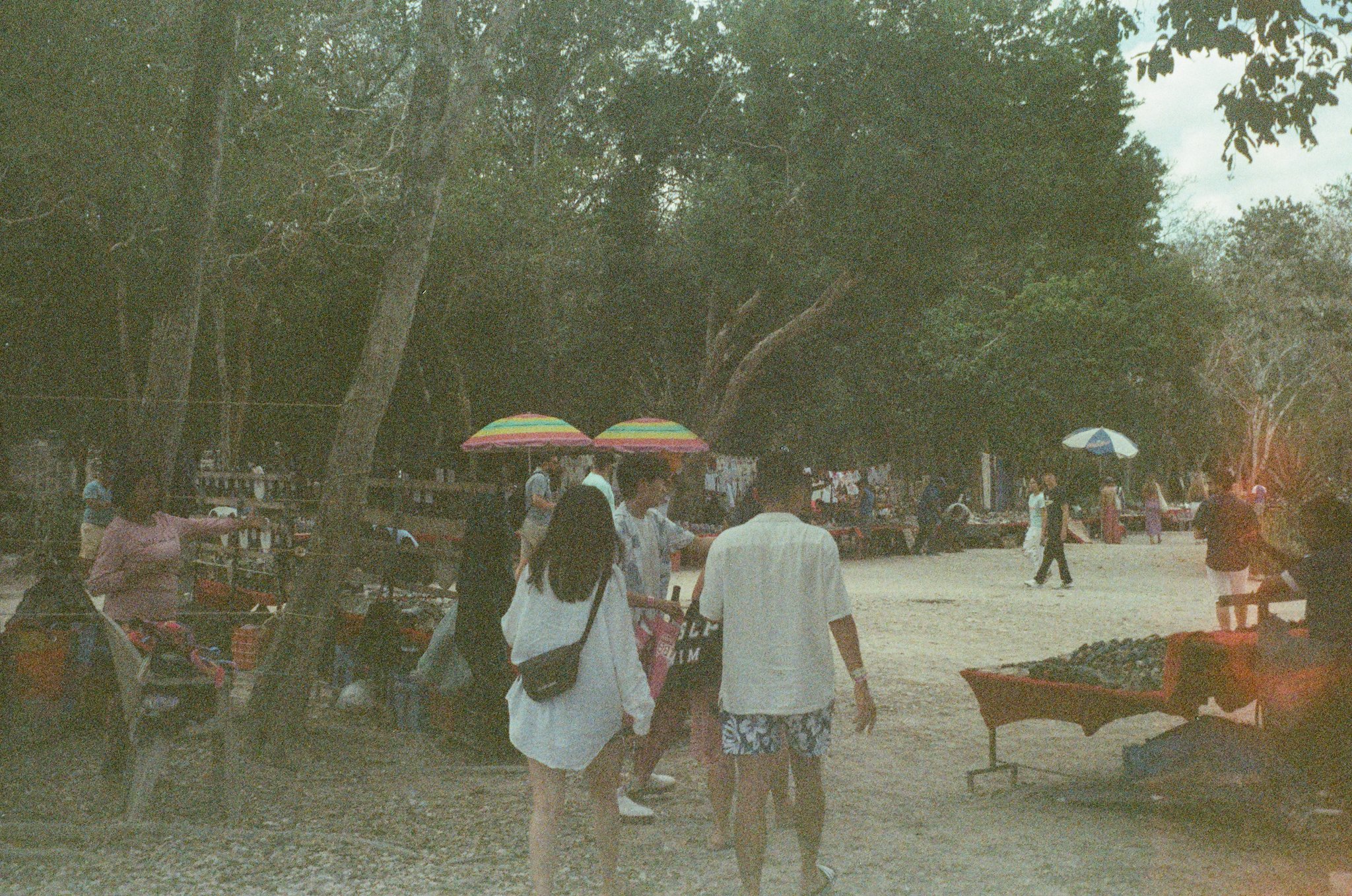 reduced-57.jpg