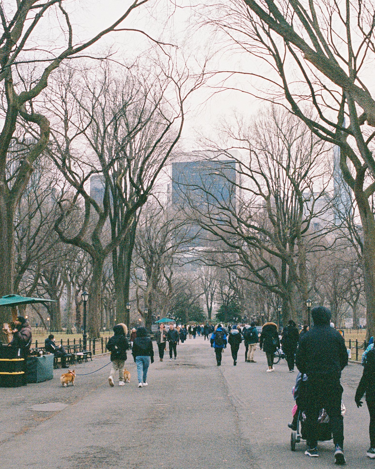 step678-029.jpg