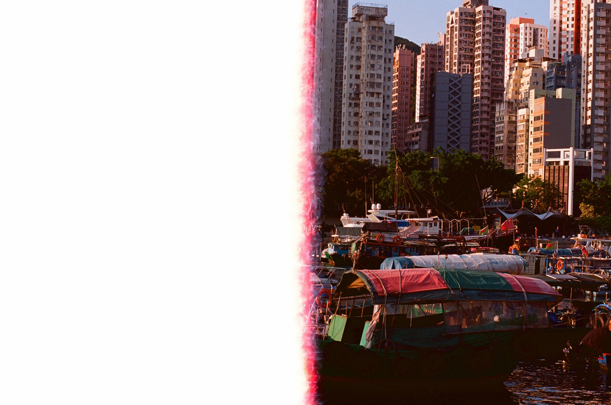 49590001-2.jpg