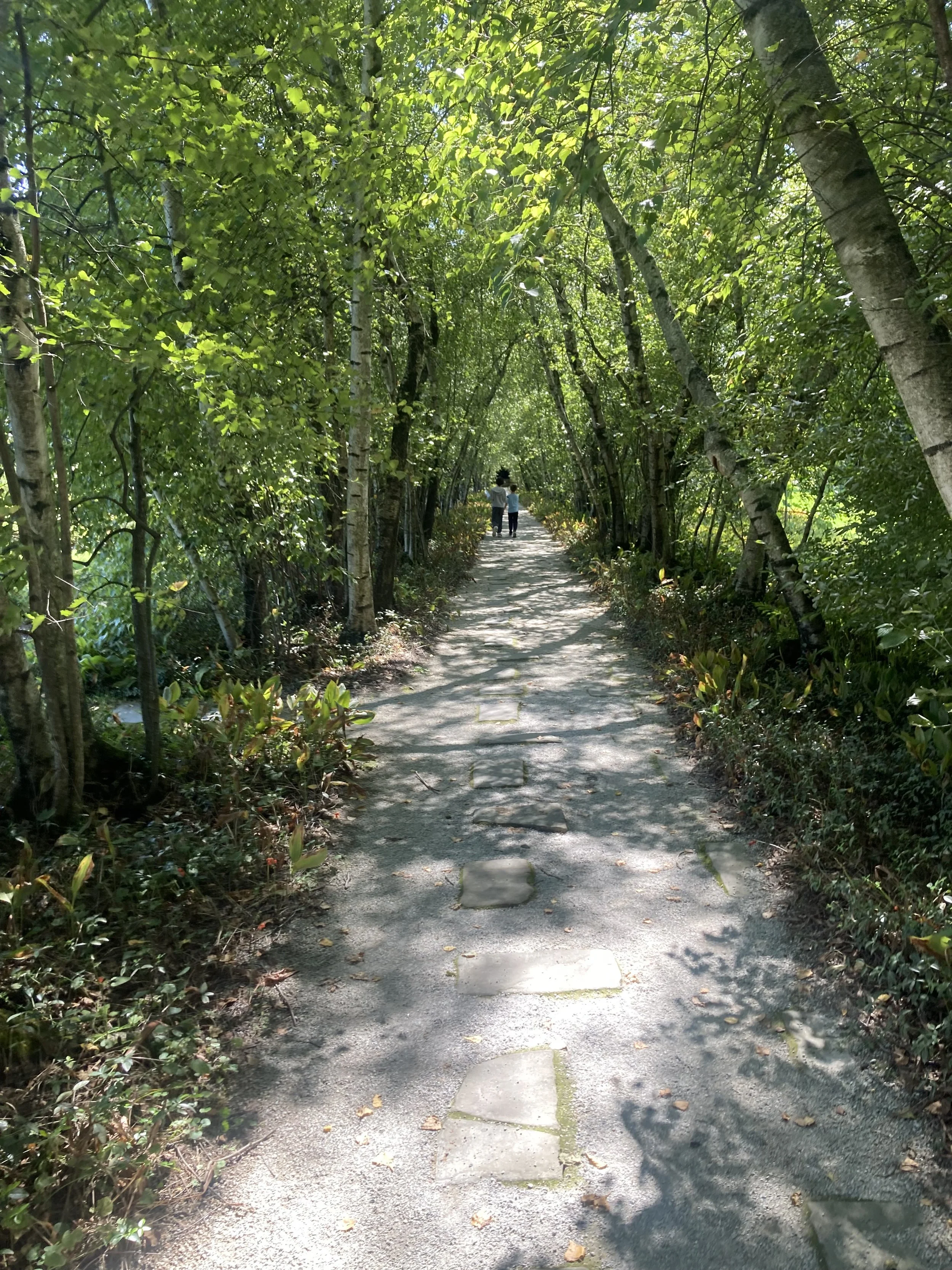 Open House at New Office